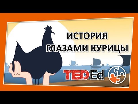 🔶 История глазами курицы [TED-Ed на русском]