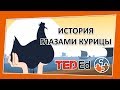 🔶 История глазами курицы [TED-Ed на русском]