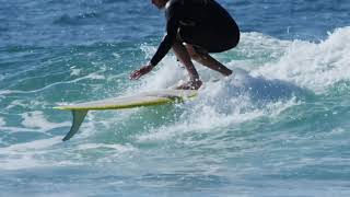 Sun Up, Sun Down. A Monster Children Guide To Byron Bay.