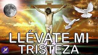 Llévate mi Tristeza || 1 Hora música de oracion || Padre Chelo de Música Católica 2021 #10