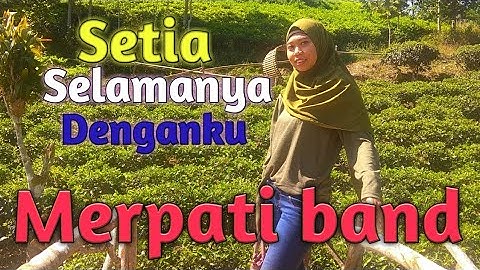 Thumbnail of Setia selamanya denganku - merpati band (unofficial audio lyric)