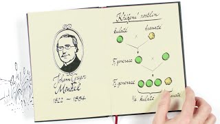 Geneticky Modifikované Organismy Gmo Nezkreslená Věda Iv