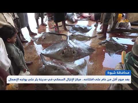 تدهور مركز الانزال السمكي في شبوه يهدد الصيادين والاقتصاد المحلي