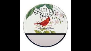 kentucky Bird Review