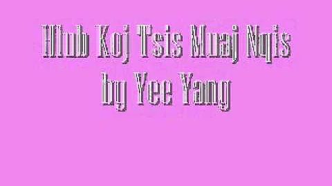 Hlub Koj Tsis Muaj Nqis   Yee Yang