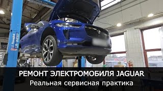 :   Jaguar I-Pace |   