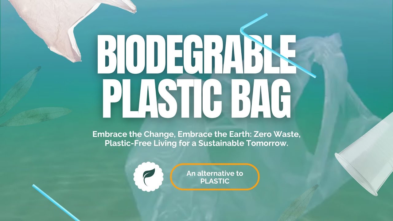 From Waste to Wonder: My Biodegradable Orange Peel Bag🍊 - YouTube