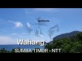 AMAZING SELATAN SUMBA TIMUR (BUMI MARAPU) song by Marapu Band-Welcome to Sumba Island