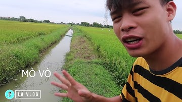 Mùa Khô Là Lúc Bắt Cá Mắc Cạn ( Lạ Vlog đặt lồng bát quái chặn mương)