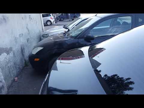 ნასეტყვის აღდგენის  შემდეგ.