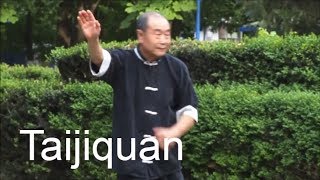Wushu Master Mu Yuchun  taijiquan