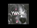 Yvinek  recycling the future full album  2002