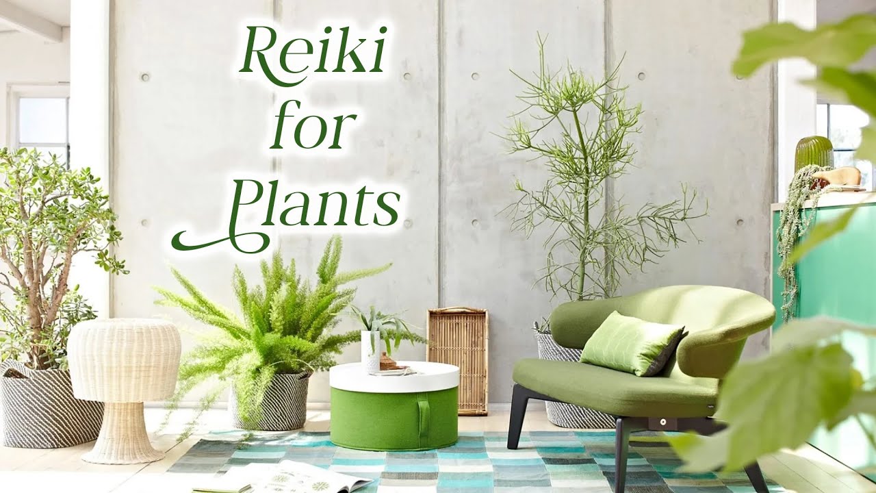 Reiki for Plants and Gardens 🌻 Learn the many ways to give Plant Reiki