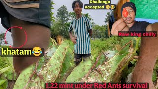 Survived 1:22 Min Under Red Ants + Ate Raw King Chilli@kimbococktailboy 