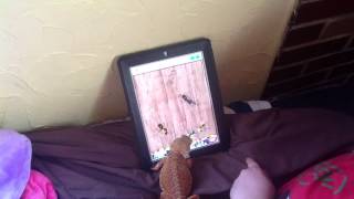 my lizard playing ant smasher