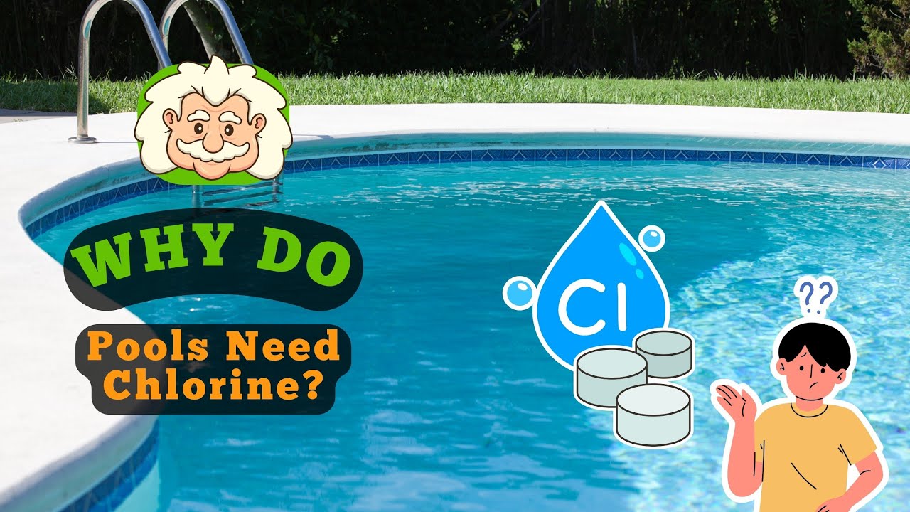 Why Do Pool Why Do Pools Need Chlorine? The Chemical That Makes Pools Safe and ...