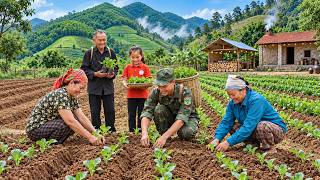 Starting to Plant Vegetables on New Land – Turning Empty Beds into a Dream Garden