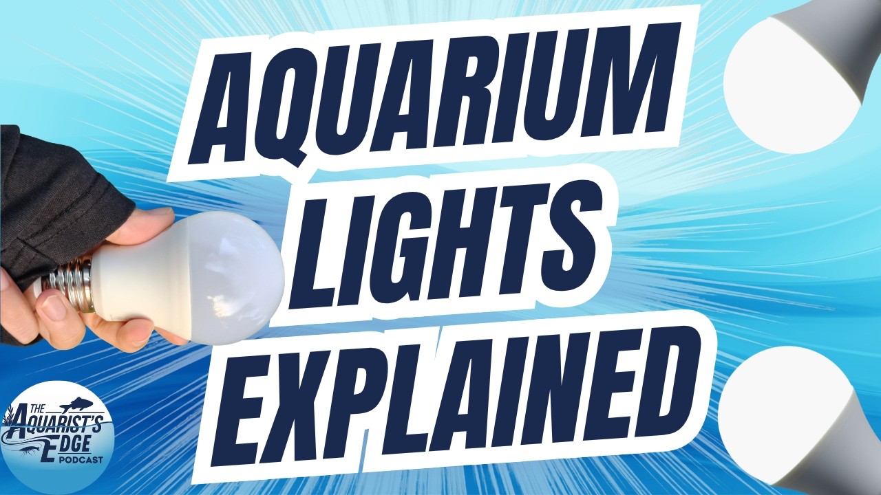 Aquarium Lighting Explained for Beginners PAR, Spectrum, Plant Growth ...