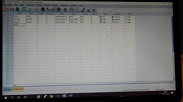 Enter data in SPSS data editor