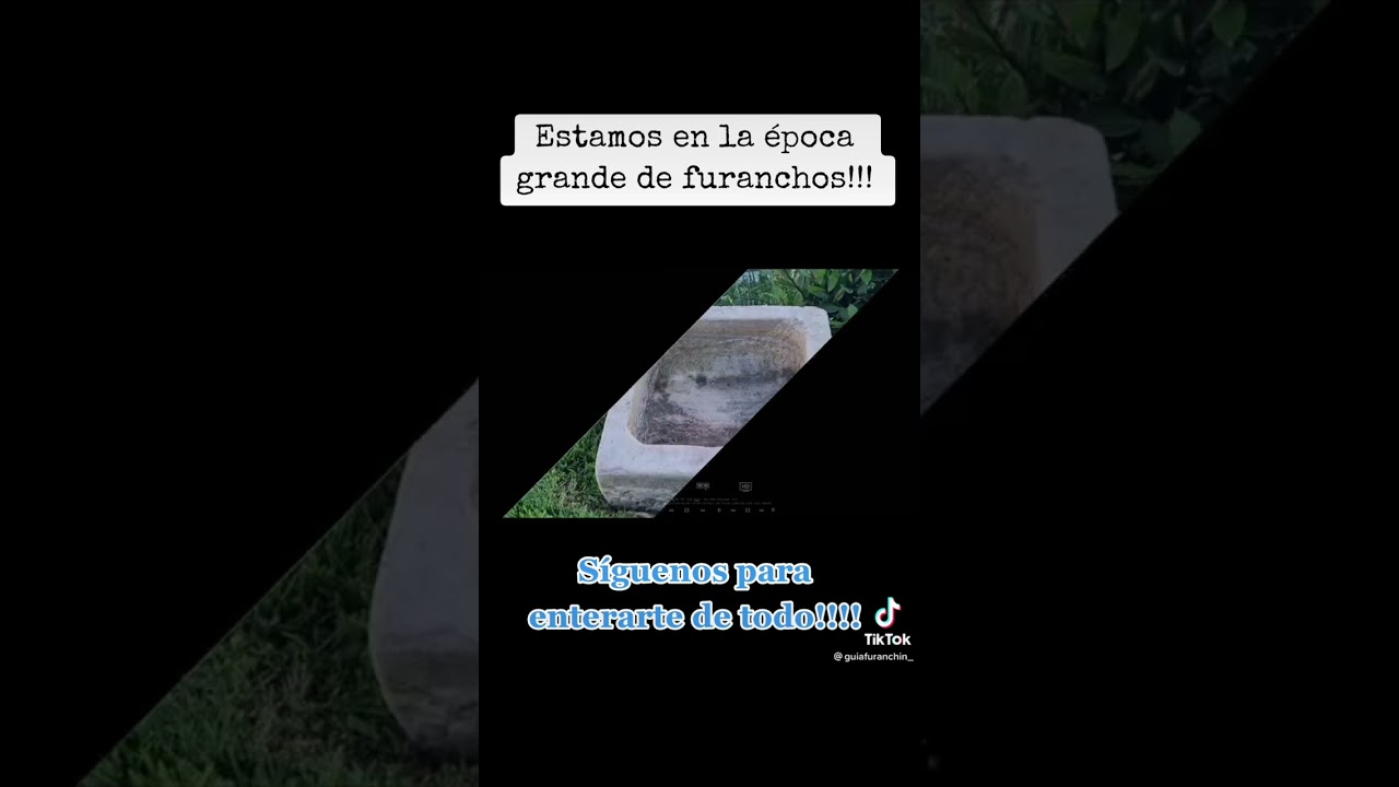 Época de Furanchos en Galicia