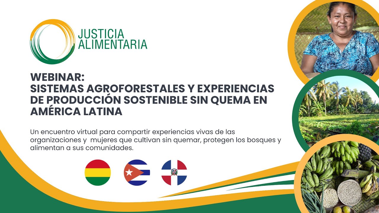 Webinar: Sistemas agroforestales y experiencias de producción sostenible sin quema en América Latina