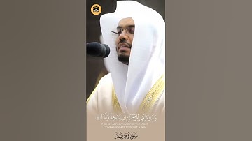 وكلهم اتيه يوم القيامة فردا 🍁 تلاوة عطرة من الغريد فضيله الشيخ أ.د #ياسر_الدوسري #غريد_الحرم #عراقية