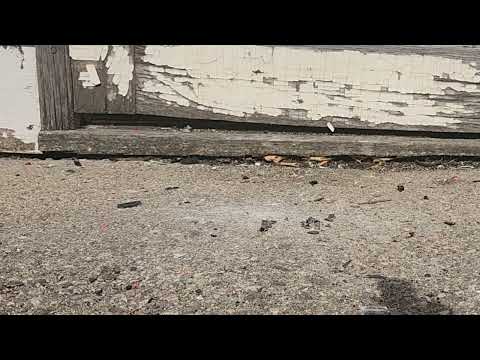 Tiny Honda civic crush by heels #asmrcrush #satisfying #asmrsounds