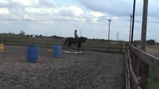 Sam Jamieson Equine -  Flatwork and Working Equitation schooling