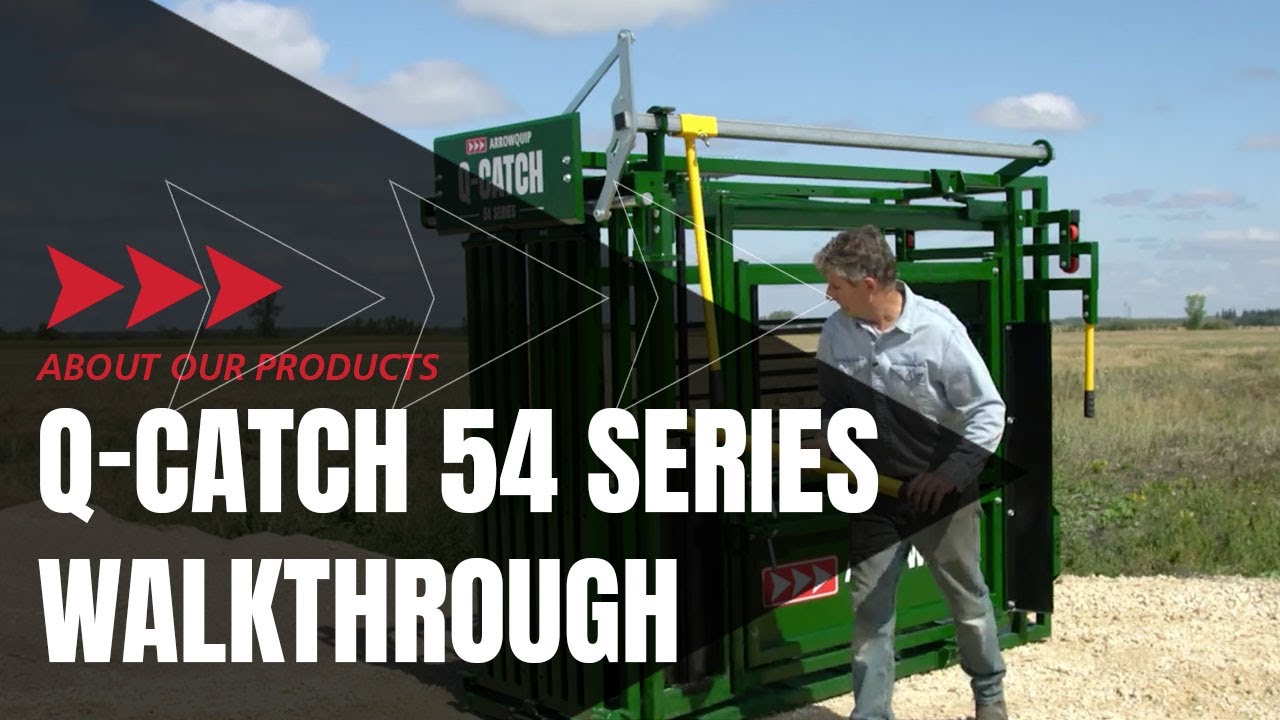 Прохождение программы по загону для скота Q-Catch 54 Series | Arrowquip