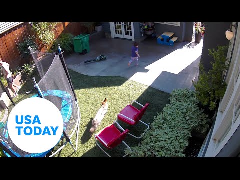 Video: Brave girl