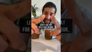 DIY Plant Fertilizer with Oats & Tea | creative explained