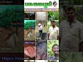 உலகமெங்கும் பசுமை  பூமி #shorts #trending #viral #viralvideo #farmingtechniques