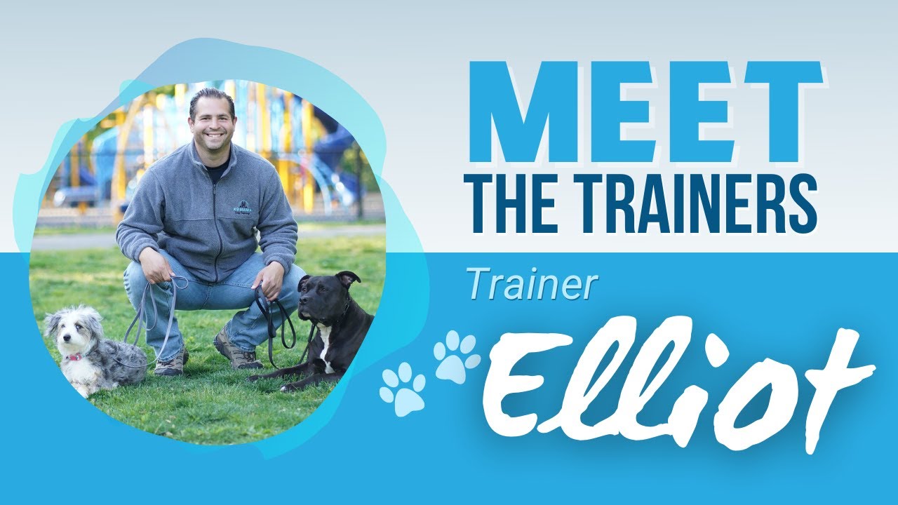 MEET THE TRAINERS: ELLIOT ROSENBERG - YouTube