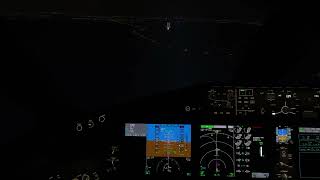 Msfs2020 Ultra Settings 787-9 Approach and Landing into FCO/LIRF