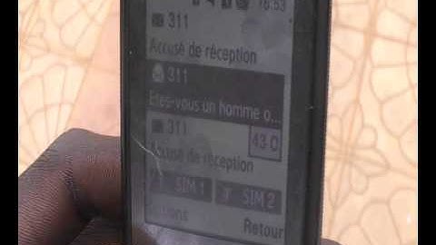 Niger - SMS Survey.avi