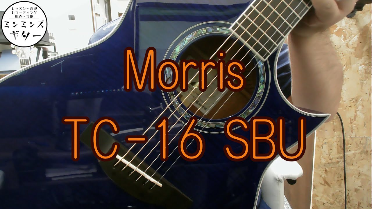 Morris TC-16 SBU【ミンミンズギター試奏】 - YouTube