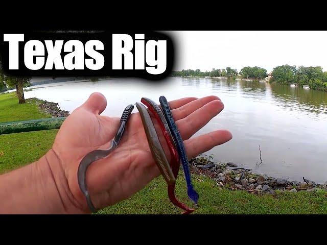 Texas Rig 101 - How to Fish a Texas Rig Worm and Catch Bass (Easy