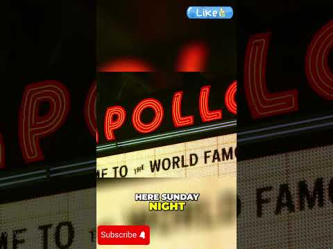 The Apollo Show