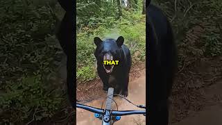 He Thought The Bear Would Run Away But