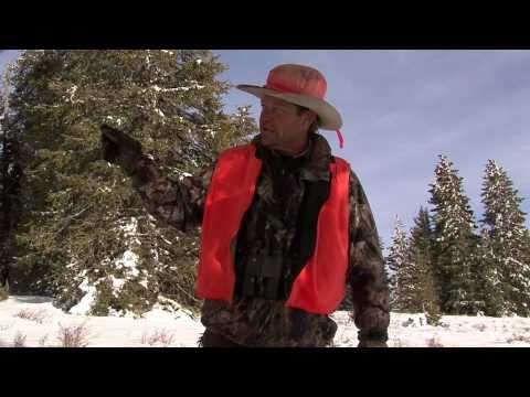 Hunting with Doug Turnbull in Gunnison CO Part3