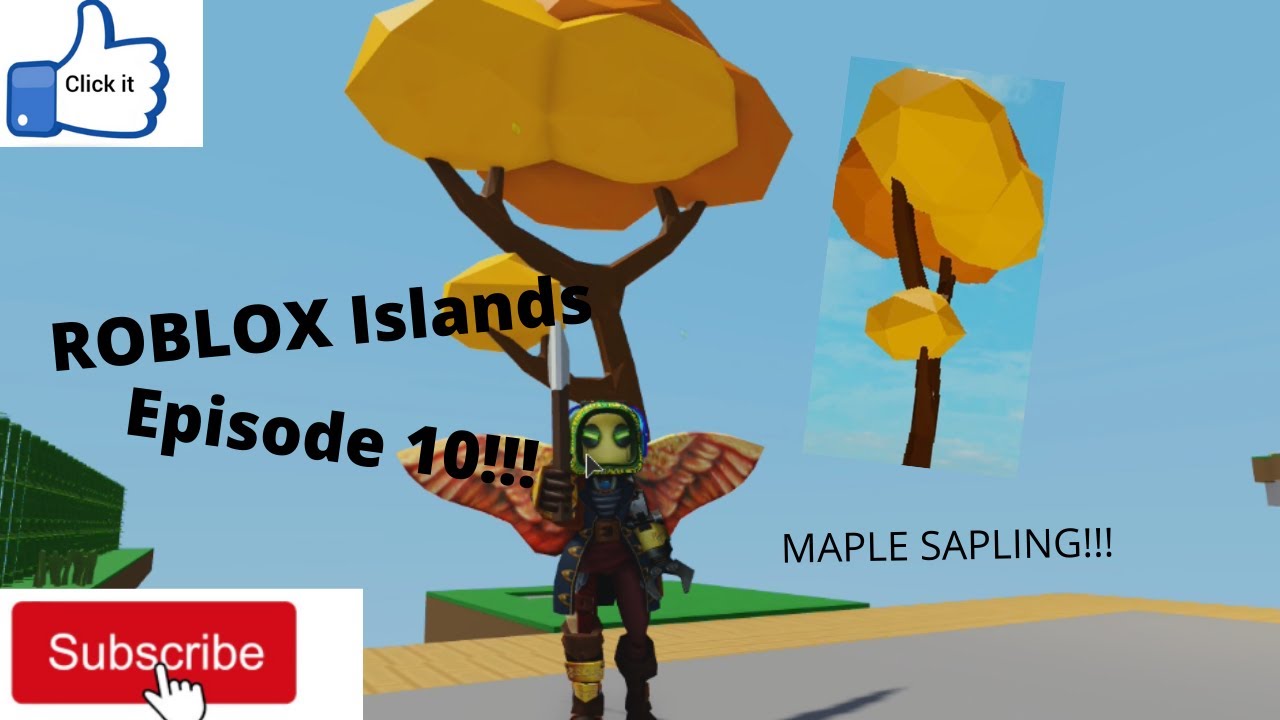 ROBLOX Islands Ep 10 (MAPLE SAPLING FINALLY!!!) YouTube