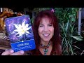 Imu psychic hot seat tuesdays 38 with maureen keefe