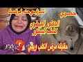 حصري شرشوحه فرنسا تم التواصل مع الدكتور البيطري الحقيقه كامله كشفنا تعذيبك للكلب ويلي 