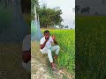 ফুল হলো সরষের, মন দিয়ে দেখুন 🌸 ভালো লাগলে সাপোর্ট করুন#সরষেফুল#ফুলেরসুগন্ধ#বাংলারপ্রকৃতি#গ্রামবাংলা