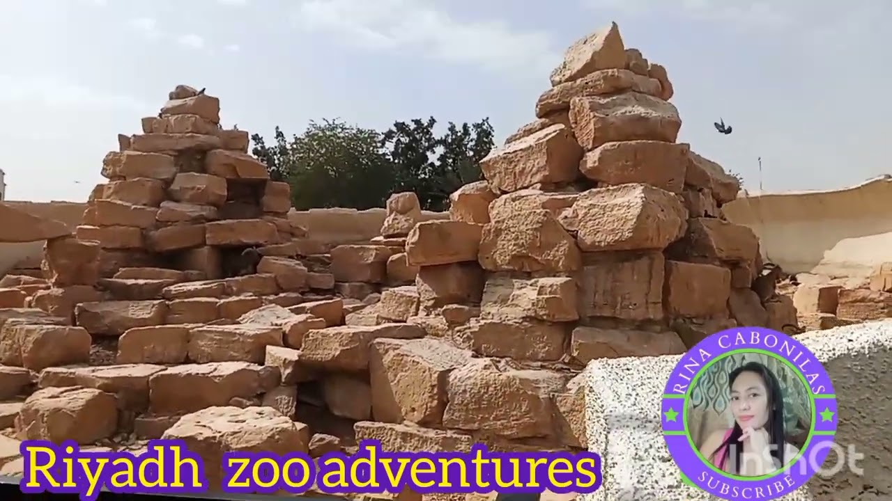 Riyadh  Zoo Adventures 