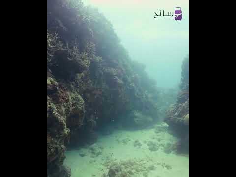 أهم خمس محميات طبيعية في مصر 