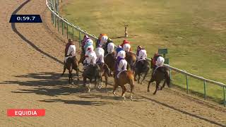 Vidéo de la course PMU PRIX DU PARC LAVERSIN