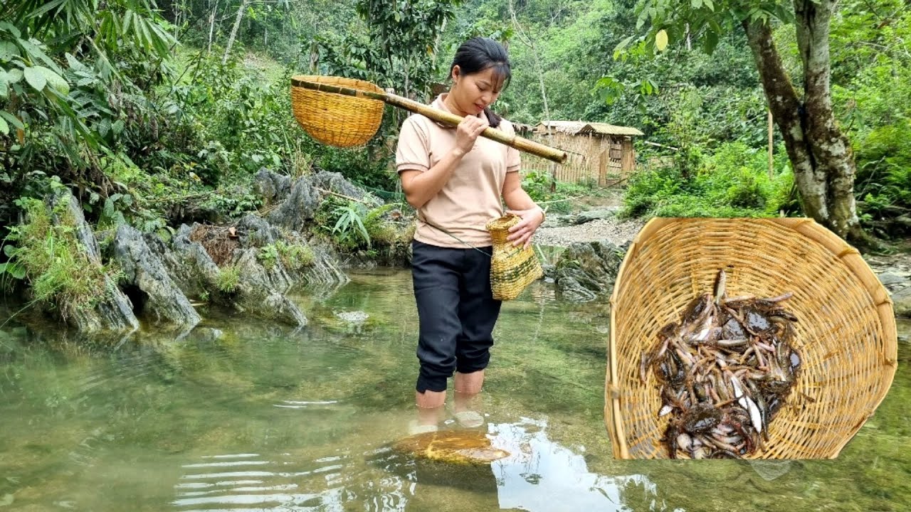 How to weave a bamboo basket to shovel fish to preserve l Lý Thị An
