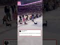 Wiener Dog Night STOLE the Show at This Hockey Game 🐶🏒 (@johnnylazarus) #hockey #wienerdogs
