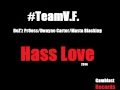 TeamV F Hass Love mp3